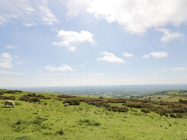 A grassy hillside with sheep grazing under a blue sky with scattered clouds at FAIRFIELD in Clee Hill