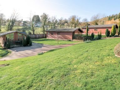 Three wooden lodges with driveways and surrounding green grassy area at Oak Lodge in Glasshouse