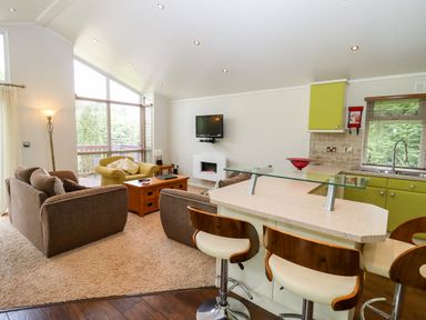 An open plan living room and kitchen area with sofas a coffee table wall mounted tv and kitchen island with stools at Oak Lodge in Glasshouse
