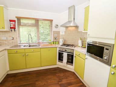 A kitchen with green and white cabinets a sink a stove an oven and a microwave at Oak Lodge in Glasshouse