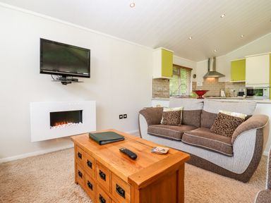 A living room with a sofa coffee table wall mounted fireplace and kitchen in the background at Oak Lodge in Glasshouse