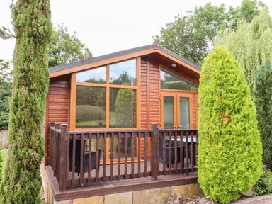 A wooden cabin with large windows and a small deck surrounded by trees at Oak Lodge in Glasshouse