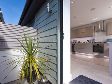 A small outdoor area with a potted plant next to the entrance to a modern kitchen at Atlantic Watch 8 in Carbis Bay