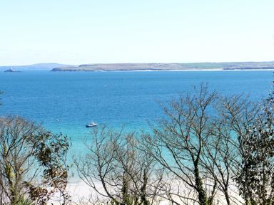 A view of the sea with a boat on the water and an island in the distance seen through trees at The View in St Ives
