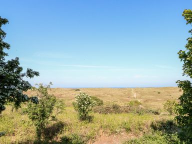 A landscape with bushes and grassy dunes under a clear blue sky at Chalet 150 in Winterton-On-Sea