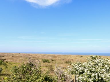A coastal landscape with bushes and grassy dunes under a clear blue sky at Chalet 150 in Winterton-On-Sea