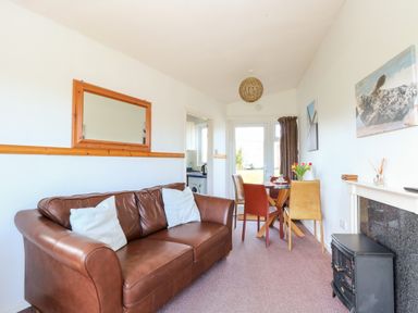 A living room with a brown leather sofa two white pillows a dining table with four chairs flowers on the table a small stove a mirror on the wall and a door at the back at Chalet 150 in Winterton-On-Sea
