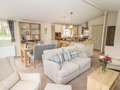 An open plan living room and kitchen with sofas dining table bookshelf and flowers on a table at Seagull Lodge in Runswick Bay