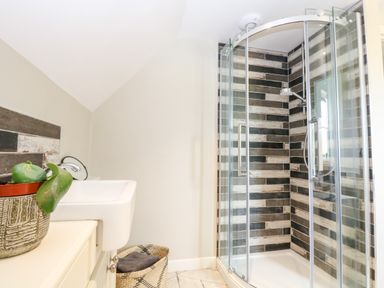 A bathroom with a corner shower enclosure and a sink with a plant on the counter at The Hermitage in West Beckham near Sheringham