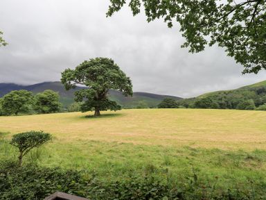 A field with a tree in the center at Squirrels Leap near Number 29, Burnside Park near Keswick