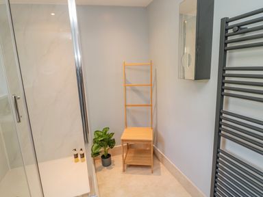 A bathroom corner with a wooden ladder shelf plant beside a glass shower and a wall-mounted cabinet with mirror at Woolley Lodge in Wooler