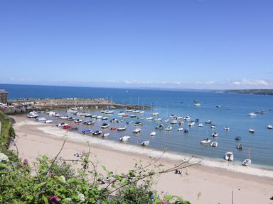 A harbor with many boats anchored near a sandy beach and a stone pier at The Potting Shed in New Quay
