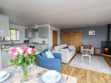 An open plan kitchen and living area with dining table flowers blue and beige chairs and a fireplace at Llyn Cae Ty Nant Fishery Holiday Let in Bwlchllan near Llangeitho