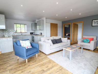 A living room with grey and blue sofas a coffee table and an open plan kitchen at Llyn Cae Ty Nant Fishery Holiday Let in Bwlchllan near Llangeitho