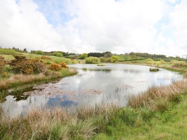 A pond with water lilies surrounded by grass and bushes in a countryside setting at Llyn Cae Ty Nant Fishery Holiday Let Bwlchllan near Llangeitho