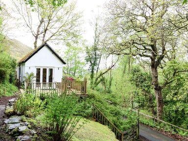A small white house with a wooden deck surrounded by trees and greenery at Twigs in Woody Bay