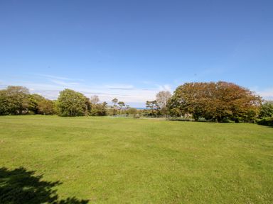 A green grassy field with trees under a blue sky at Sea Pink Cottage in Langton Matravers