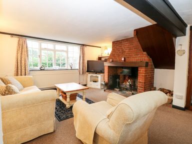 A living room with sofas a wooden coffee table a brick fireplace and a television at Phloxhaven in Reedham