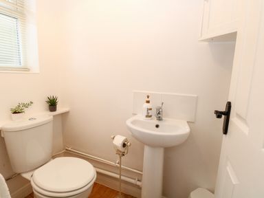 A bathroom with a toilet sink a hand soap dispenser potted plants and a window at Phloxhaven in Reedham