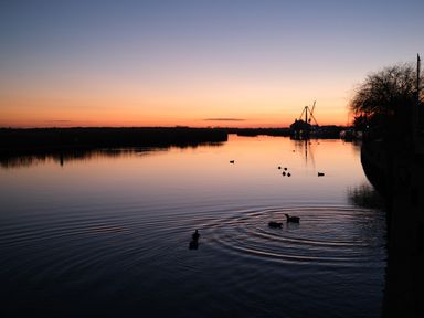 A river at sunset with ducks swimming and cranes near the shoreline at Phloxhaven in Reedham