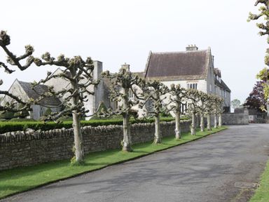 A row of pruned trees along a stone wall with an old stone building in the background at Bramley Cottage in Henley near Langport
