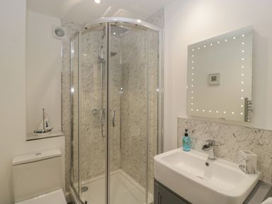 A bathroom with a shower enclosure a toilet and a sink with a mirror at Bramley Cottage in Henley near Langport
