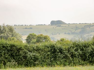A countryside landscape with dense green bushes and trees in the foreground and rolling fields in the background at Waylands in Uffington