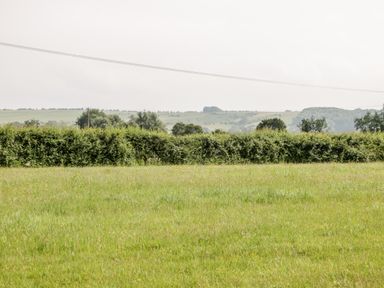 A grassy field with a hedge and trees in the distance at Waylands in Uffington