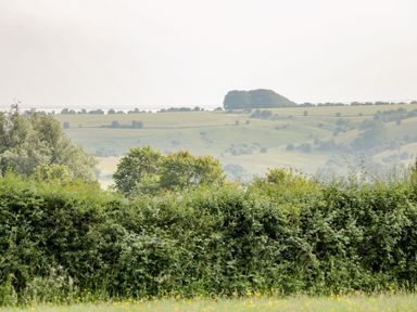 A field with green bushes and trees and hills in the background at Ridgeway in Uffington