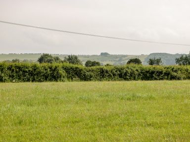 A field with green grass and a hedge with trees behind at Ridgeway in Uffington
