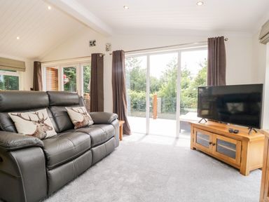 A living room with a black leather sofa and two deer pillows a television on a wooden stand and large sliding glass doors at Robin Lodge in Cartmel