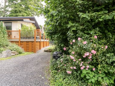 A gravel pathway next to a wooden deck and pink flowers along the side at Robin Lodge in Cartmel