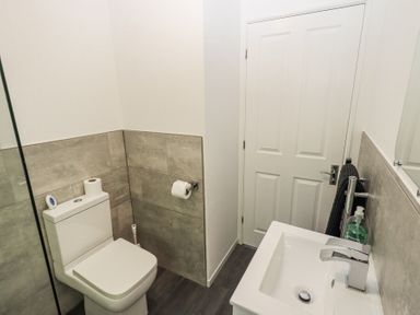 A bathroom with a toilet, sink, soap dispenser, towel, and a closed door at Grizedale Lodge Langdale 18 White Cross Bay near Windermere