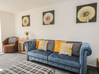 A living room with a blue sofa with cushions a brown armchair a wooden side table with a plant and dandelion artworks on the wall at 26 Hycemoor Way Bootle Near Millom