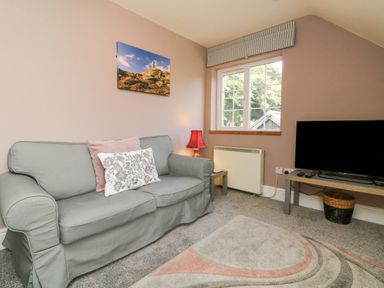 A living room with a gray sofa a patterned rug a TV on a stand and a window at Nattaden @ Fourwinds Meldon near Okehampton