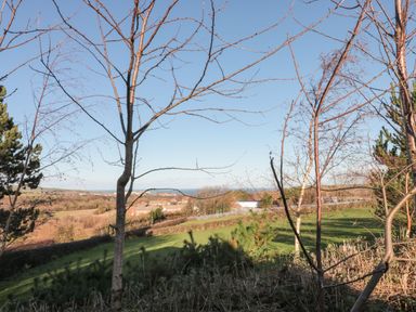 A landscape with bare trees and a grassy field overlooking houses and the sea at Holly Lodge in Liverton