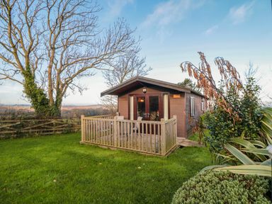 A small wooden cabin with a fenced deck in a grassy garden with trees and shrubs at Holly Lodge in Liverton