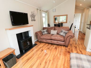 A living room with a brown sofa and wall-mounted TV above a fireplace at Number 43 Burnside Lodge in Felton
