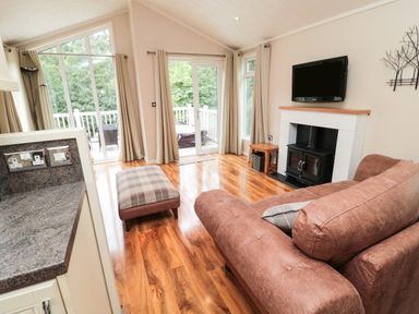 A living room with brown sofa and ottoman wood flooring and fireplace with TV above at Number 43 Burnside Lodge in Felton