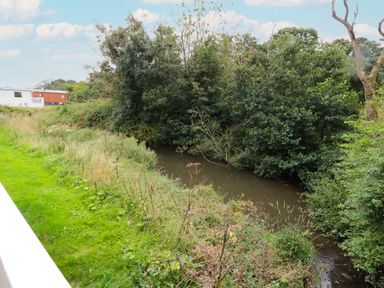 A river surrounded by dense trees and grassy banks with a building in the background at Number 43 Burnside Lodge in Felton