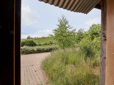 View of a grassy area with small trees and a brick paved path outdoors at Y Caban Pontfadog near Llangollen