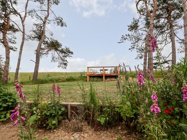 An outdoor area with a wooden deck table and chairs surrounded by trees and flowers at Y Caban in Pontfadog near Llangollen