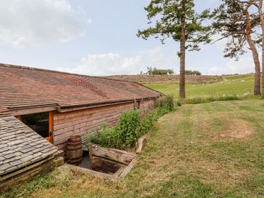A wooden building with a sloped tiled roof and garden area next to a field with trees and sheep at Y Caban in Pontfadog near Llangollen