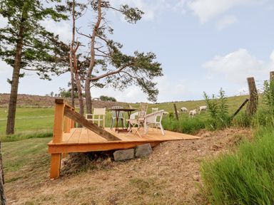 An outdoor wooden deck with chairs and a table near a grassy field with sheep at Y Caban Pontfadog near Llangollen
