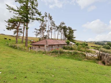 A wooden barn with trees on a grassy hill and a wooden gate at Y Caban Pontfadog near Llangollen