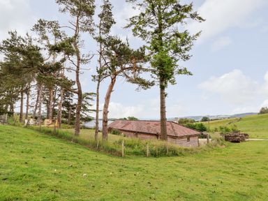 A fenced wooden building with a tiled roof surrounded by tall trees in a grassy field at Y Caban in Pontfadog near Llangollen