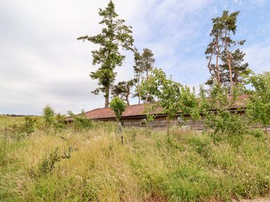 A wooden building with a red roof surrounded by tall grass and trees at Y Caban Pontfadog near Llangollen