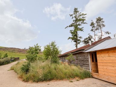 An exterior view of a wooden cabin with grass and small trees surrounding it at Y Caban in Pontfadog near Llangollen