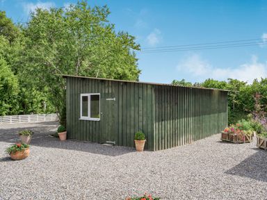 A green wooden shed with a small window surrounded by trees and gravel ground with flower pots at Caldey Lodge Manorbier