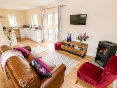 A living room with a brown leather sofa red chair wooden TV stand and kitchen area at Caldey Lodge Bier Wood Lodges in Manorbier